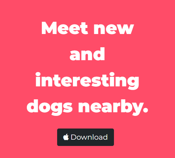 Tinder but for dogs